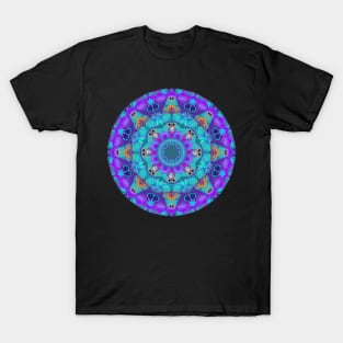 Mandala Magic - Daily Focus 11.20.2023 T-Shirt